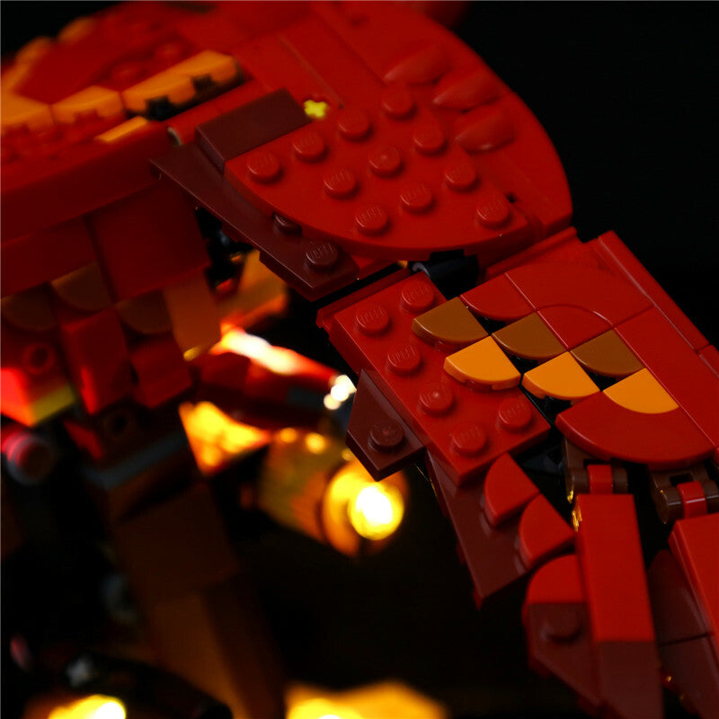 LED Lighting Kit for LEGO Harry Potter 76394 Fawkes Dumbledore'S Phoenix Lights